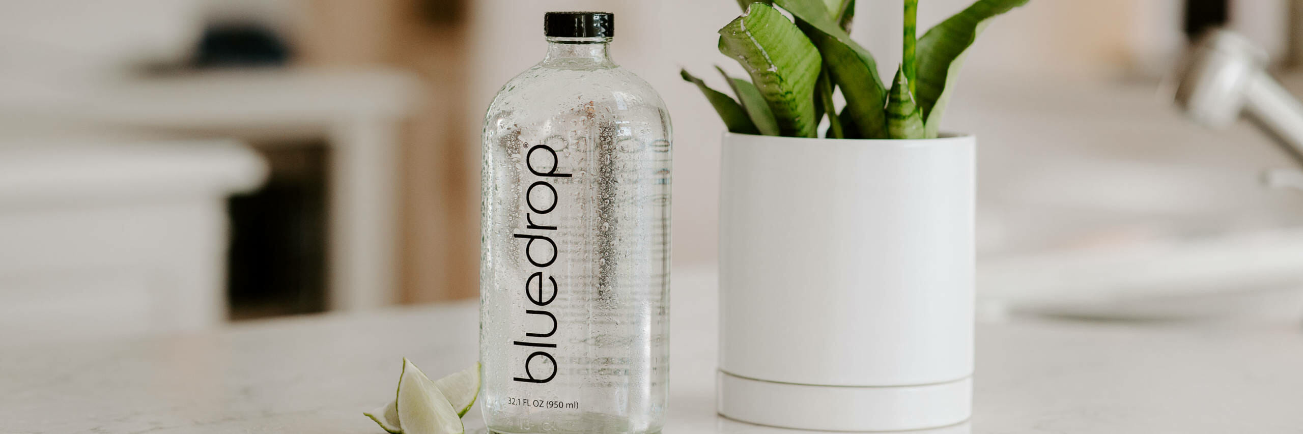 Bluedrop water bottle sitting next to a plant on a counter.