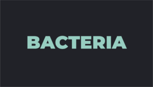 Bacteria image